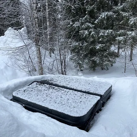 And Outdoor Hot Tub In レヴィ